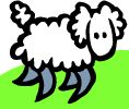 A Sheep